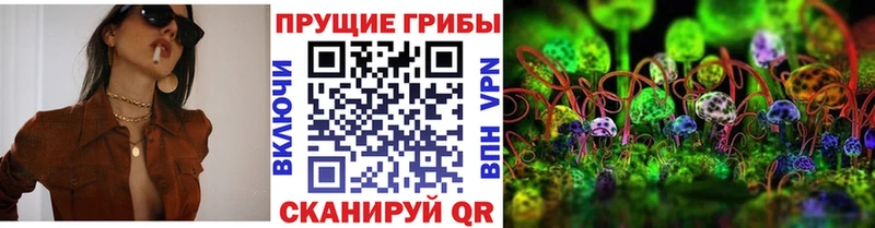 Псилоцибиновые грибы MAGIC MUSHROOMS  Кашин 